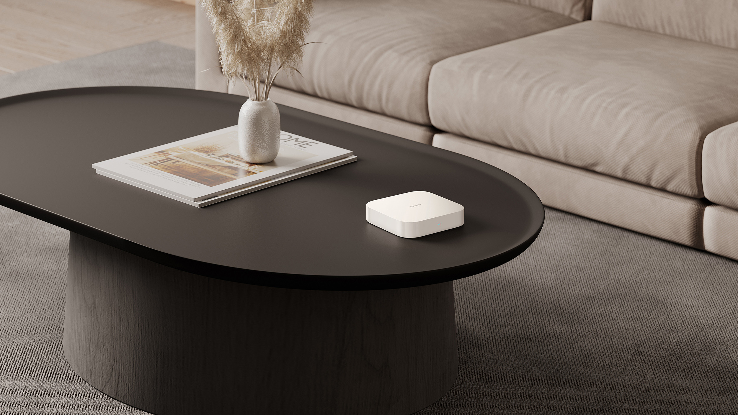 Xiaomi Smart Home Hub 2